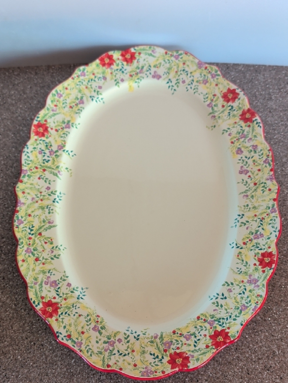 Pioneer Woman Holiday Turkey, Ham Or Veggie Oval Serving Platter.๐๐๐ - Picture 14 of 14